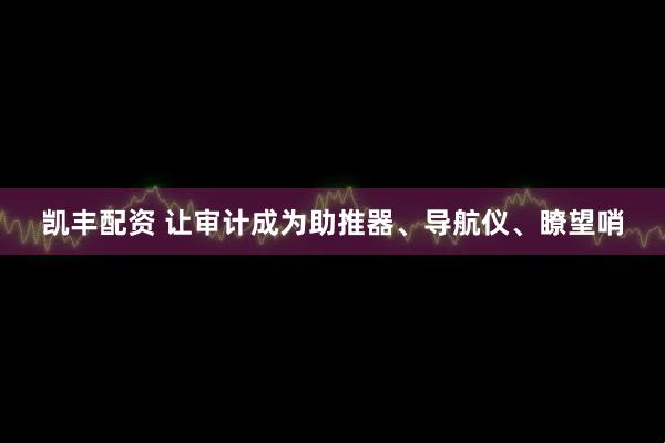 凯丰配资 让审计成为助推器、导航仪、瞭望哨